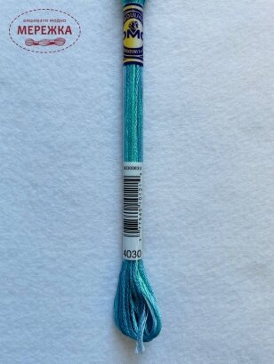 Фото муліне DMC Color Variations 4030, нитки дмс, нитки для вишивання хрестиком ціна